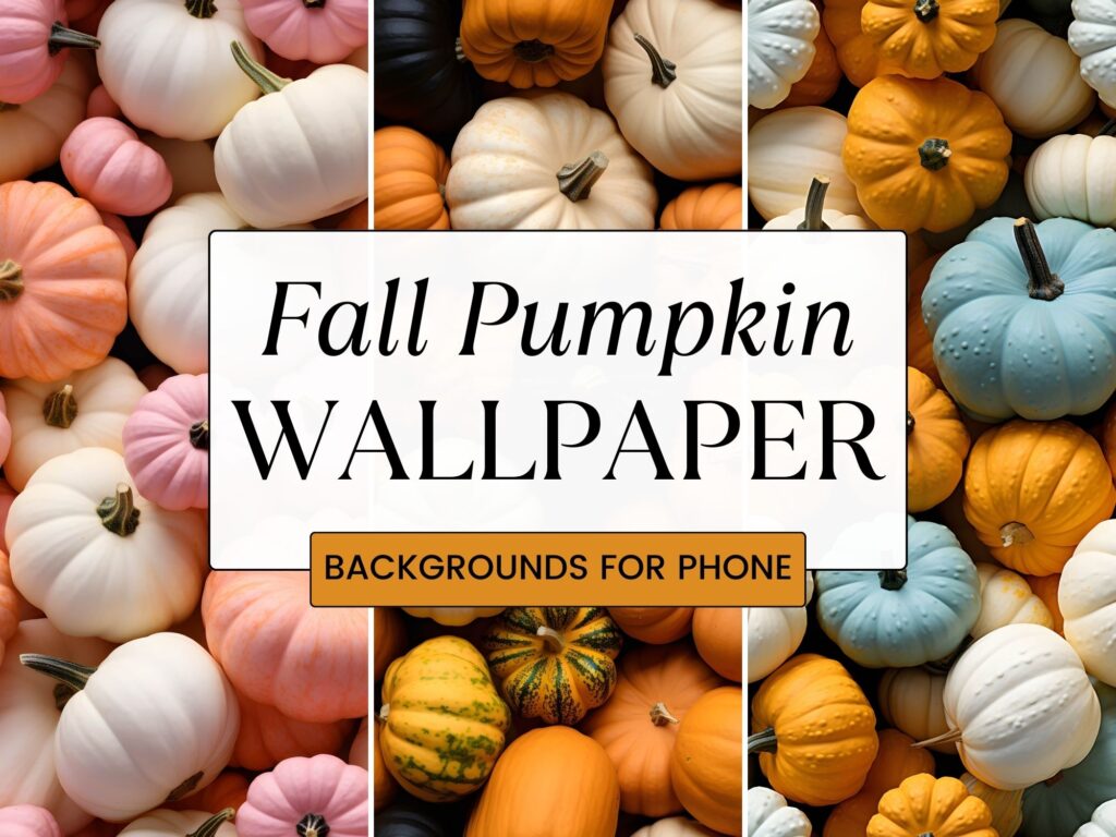 Fall pumpkin wallpaper backgrounds
