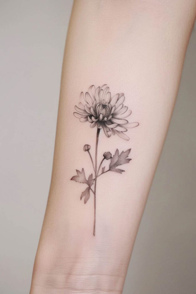 Chrysanthemum Tattoo - flower tattoo ideas