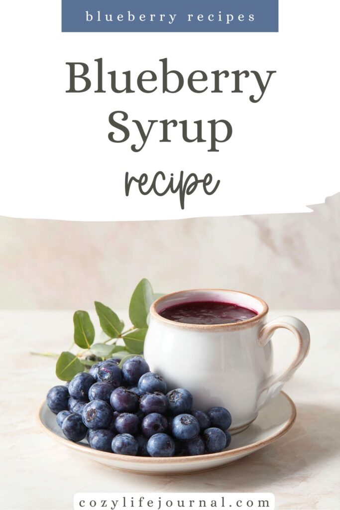 blueberry recipes