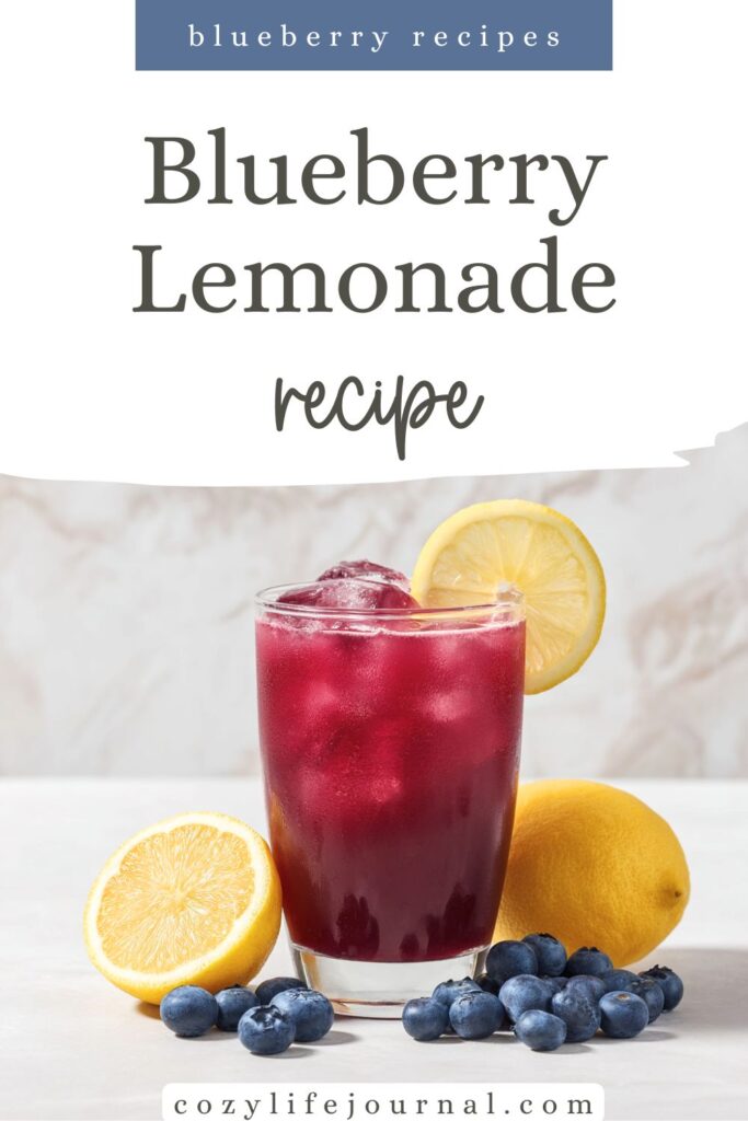 blueberry recipes
