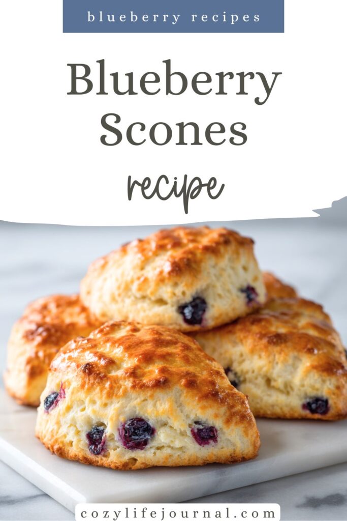 blueberry recipes